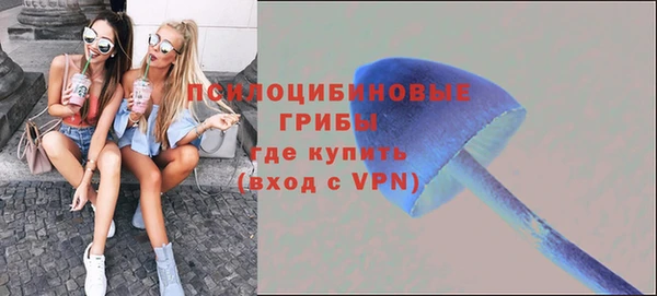 a pvp Белоозёрский