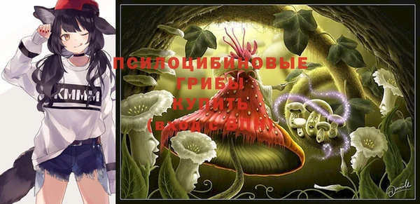 прущая мука Белокуриха