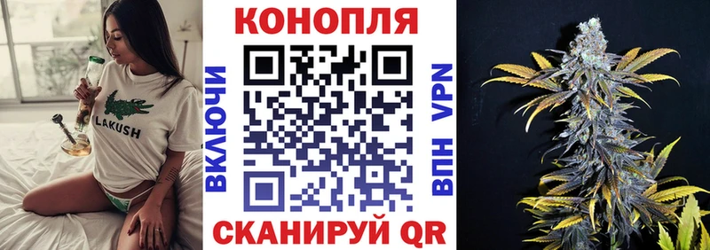 Бошки Шишки OG Kush  Купить закладки  Черепаново 